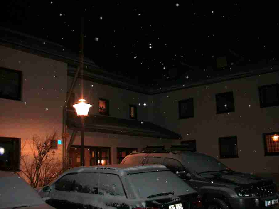 Silvester