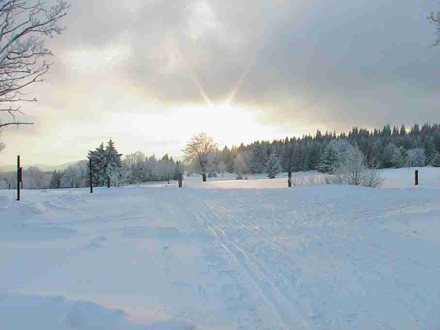 Buchberg