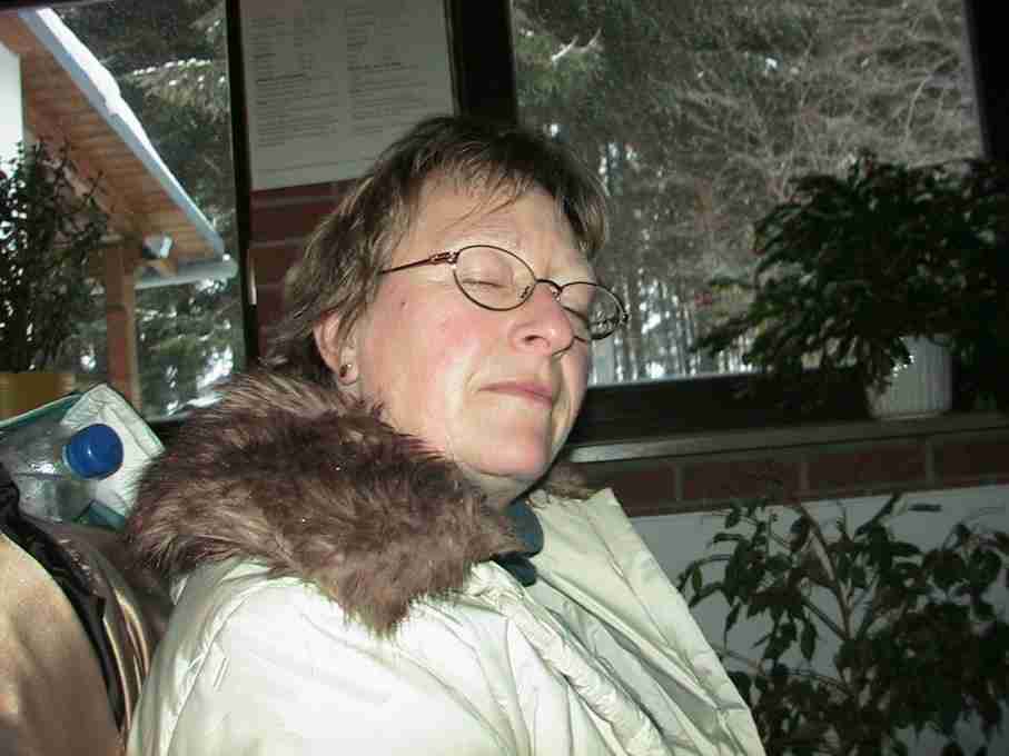Bucina