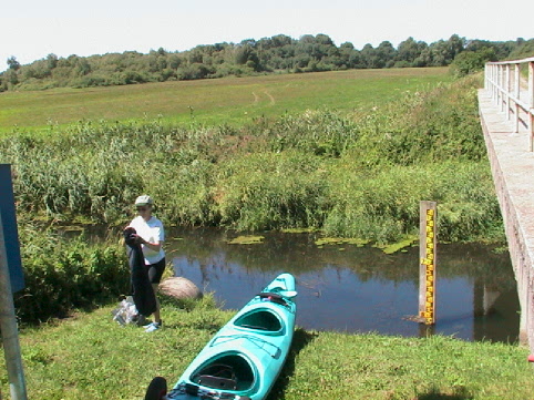 Einsetzen an der Brcke in Kirch-Baggendorf