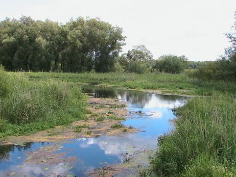 Ausfahrt in den Trebelkanal