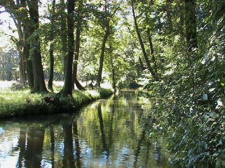 an der Bootsrolle im Weidenflie