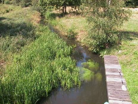 das Naundorfer Grenzflie an der Schleuse Werban