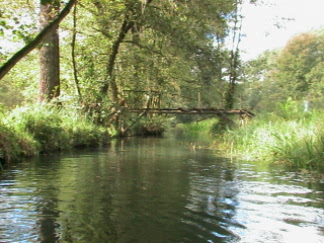 Mittelkanal