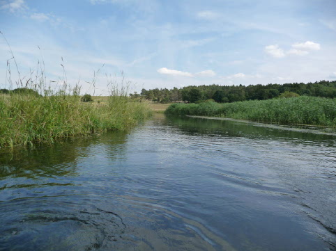 auf der Tollense